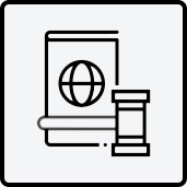 representation immigration court ls