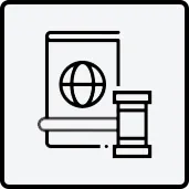 representation immigration court ls